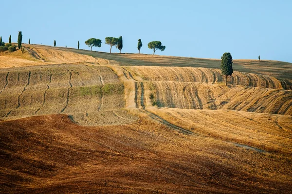 Landschaft der Toskana — Stockfoto