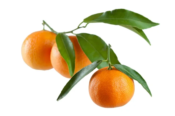 Mandarino fresco con foglia isolata su bianco — Foto Stock