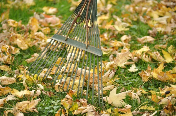 Hrabání podzimní listí — Stock fotografie