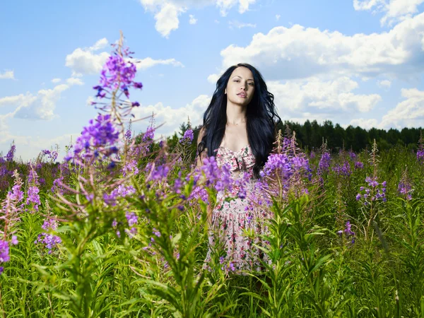 Dama en un prado de flores — Foto de Stock