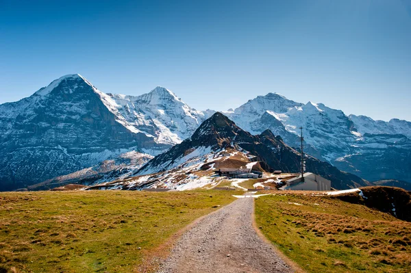 View from Maennlichen with Eiger Moench and Jungfrau — Stock Photo, Image