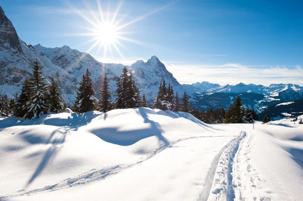 Vinter landskap på grindelwald — Stockfoto