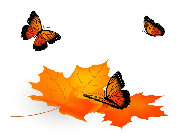 Leaves and butterflies — Stock Vector
