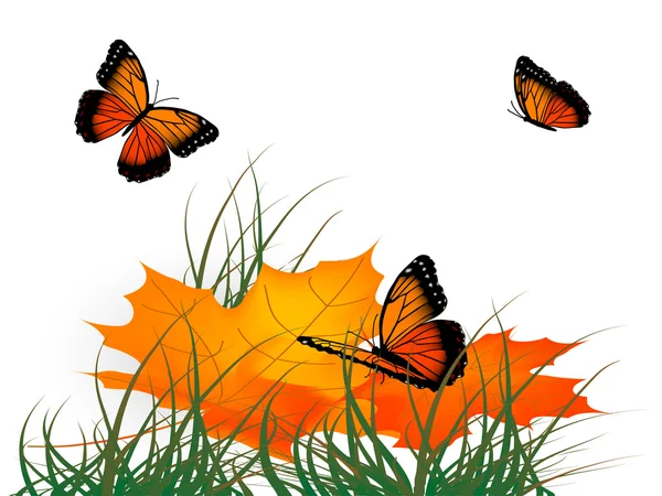 Levelek és a pillangók — Stock Vector
