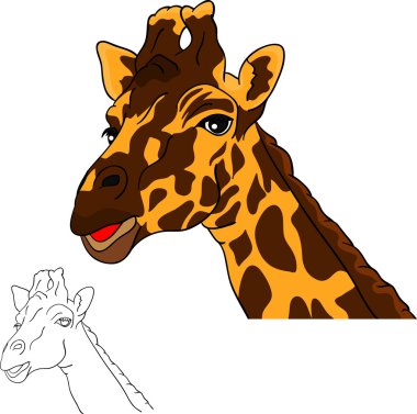 Portrait giraffe clipart