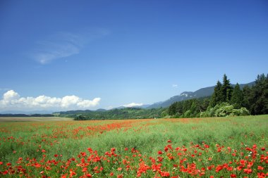 Field under mountains clipart