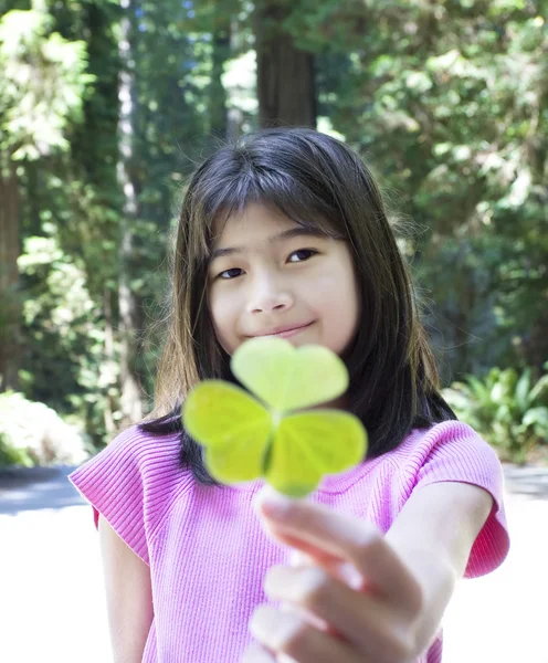 On yaşında bir kız büyük üç yapraklı yonca tutan — Stok fotoğraf