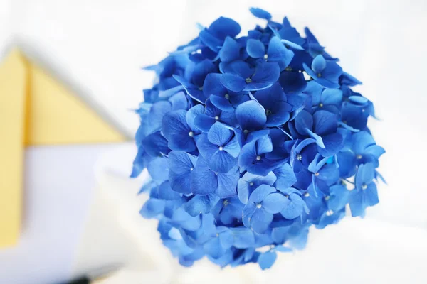 Fiore di ortensia blu accanto a penna e cancelleria, in un urlo calmo — Foto Stock