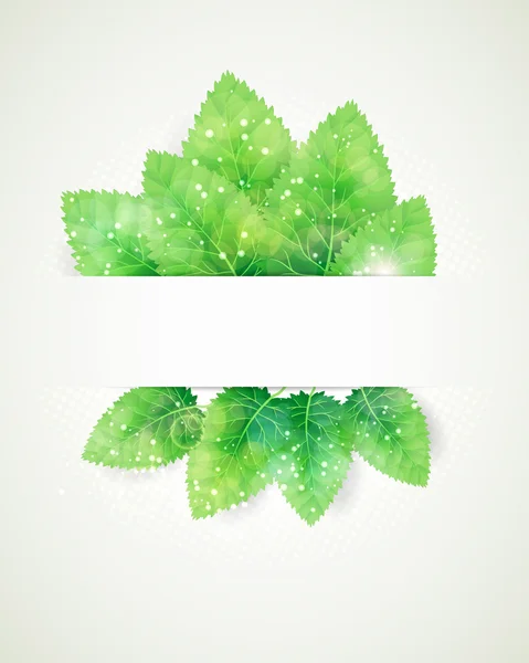 Groene bladeren abstracte achtergrond. — Stockvector
