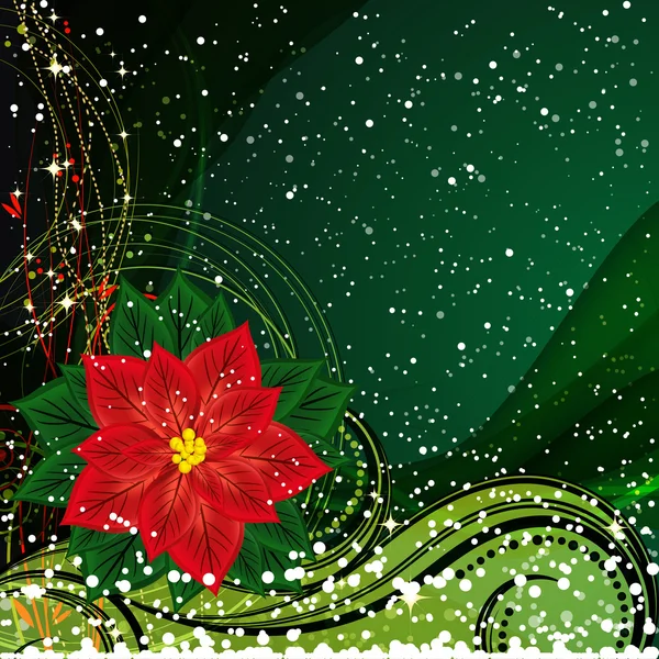 Jul bakgrund med jul blomma. — Stock vektor