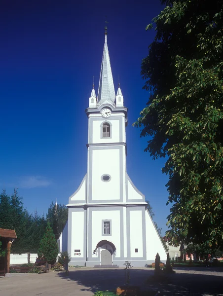 Reformationen kyrka i tyachiv, Ukraina. — Stockfoto