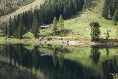 vorderer gosausee dachstein dağların yakınında, manzara