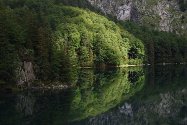 hinterer gosausee dachstein dağların yakınında, manzara