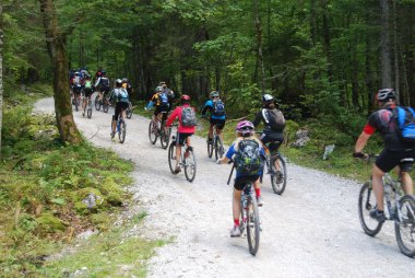 dağ bisikletçileri dachstein yakınındaki vorderer gosausee