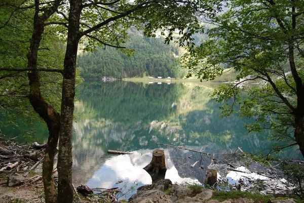 Landscape at Hinterer Gosausee near Dachstein mountains — Stock Photo, Image