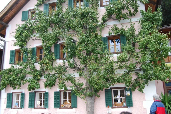 Hallstatt