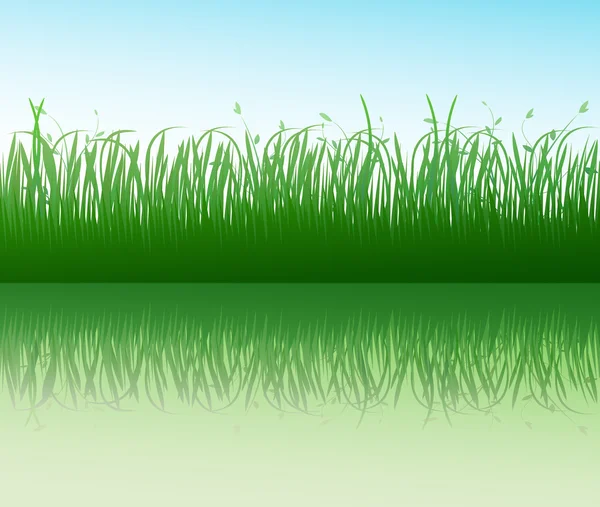 Grünes Gras mit Reflexion — Stockvektor