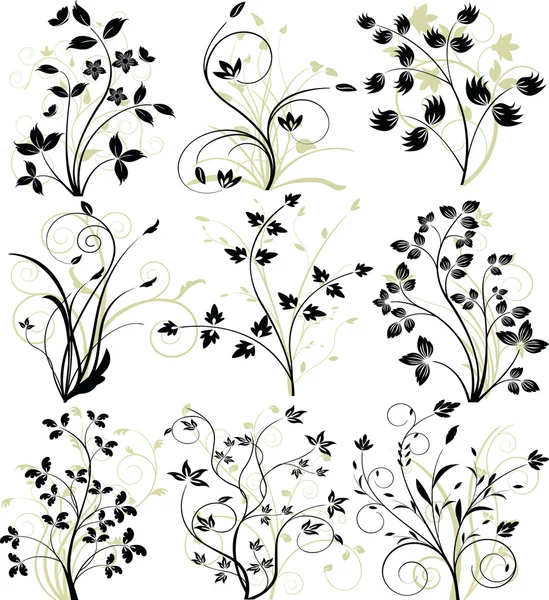 Ensemble d'éléments floraux — Image vectorielle