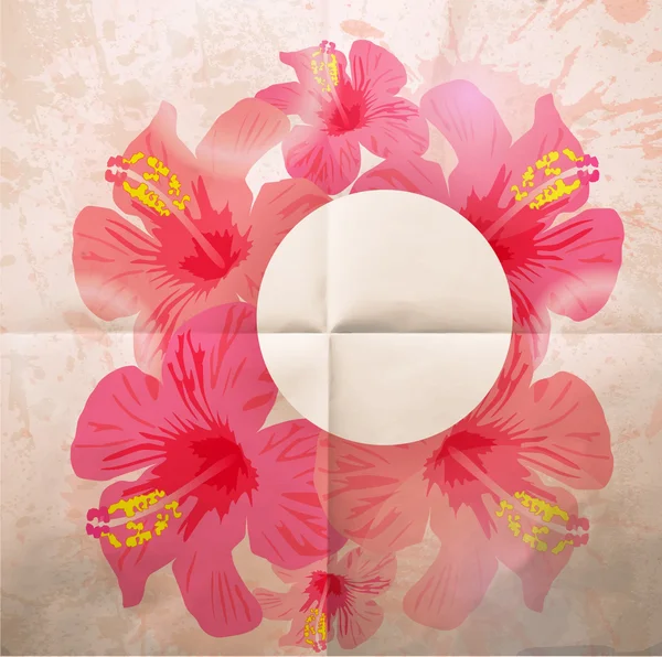 Abstract tropical background. Hibiscus flower for design. — Stock Photo, Image