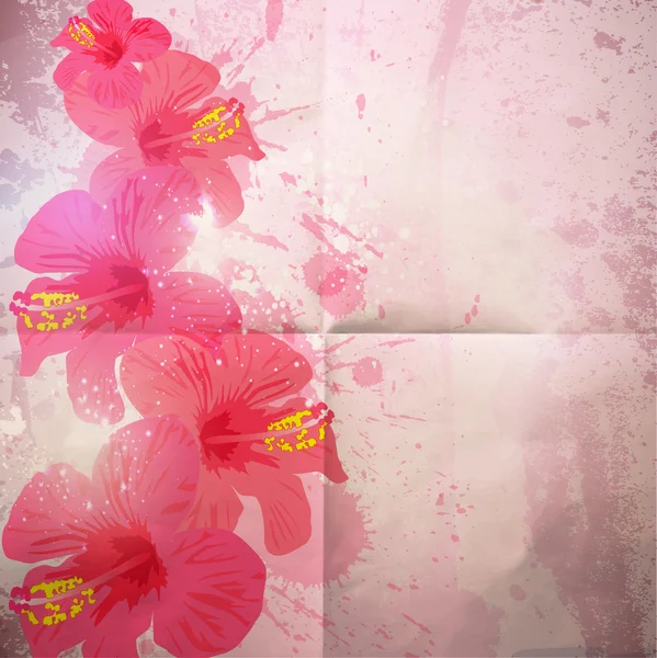 Fundo tropical abstrato. Flor de hibisco de desenho . — Fotografia de Stock