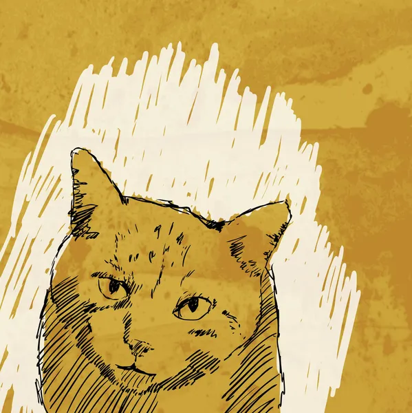 Grunge arka plan üzerinde çizim kedi — Stok fotoğraf