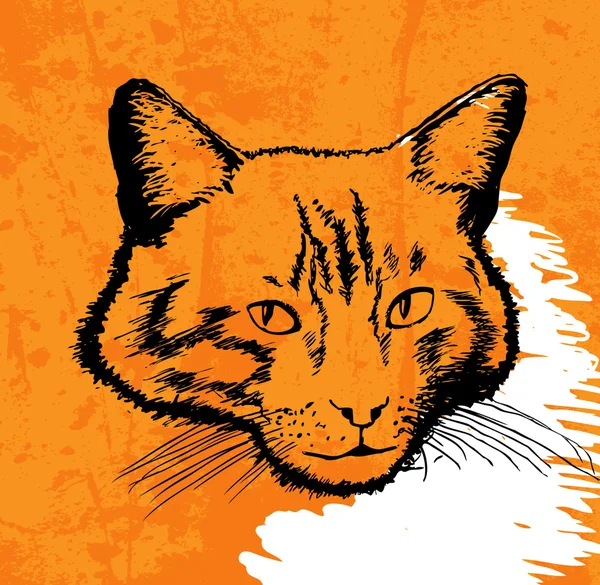 Gato dibujo vector en grunge fondo — Archivo Imágenes Vectoriales