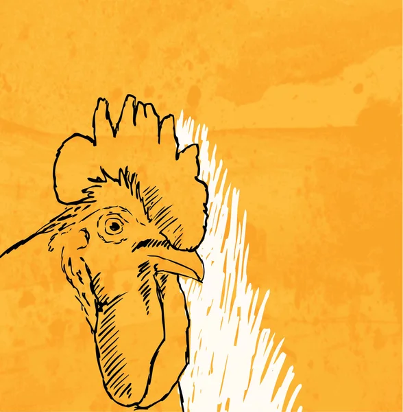 Croquis de gallo sobre fondo grunge — Archivo Imágenes Vectoriales