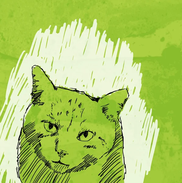 Kočičí výkres vektor na pozadí grunge — Stockový vektor