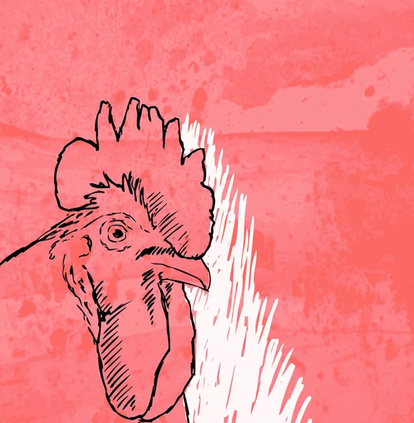 Sketsa ayam jantan pada latar belakang grunge - Stok Vektor