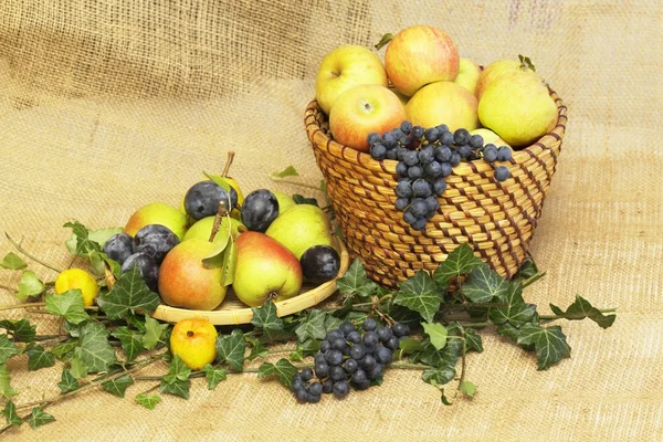 Βιολογικά φρούτα homegrown — Φωτογραφία Αρχείου
