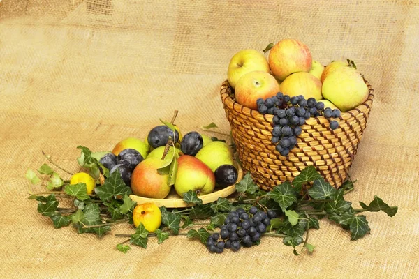 Βιολογικά φρούτα homegrown — Φωτογραφία Αρχείου