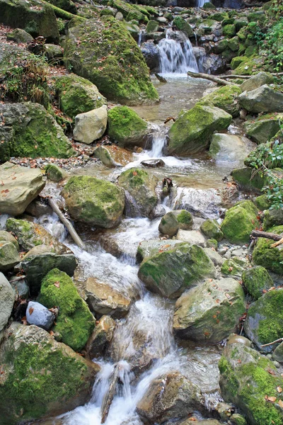 Small stream — Stock Photo, Image