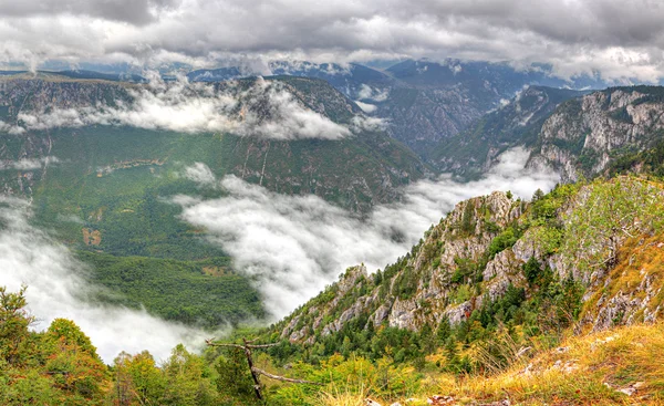 Panorama kanionu tara, światowego dziedzictwa unesco, Czarnogóra. — Zdjęcie stockowe