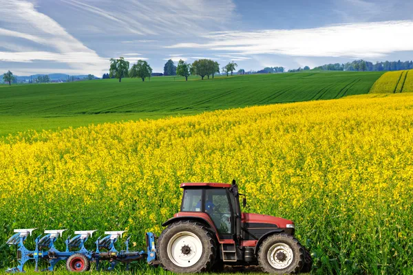 Tractor in canola field — Stock Photo, Image