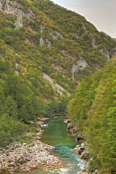 Каньйон річки тара, Чорногорія — стокове фото