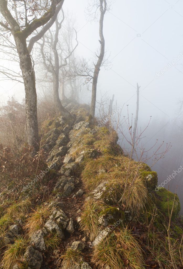 Hiking trail with mist on ridge