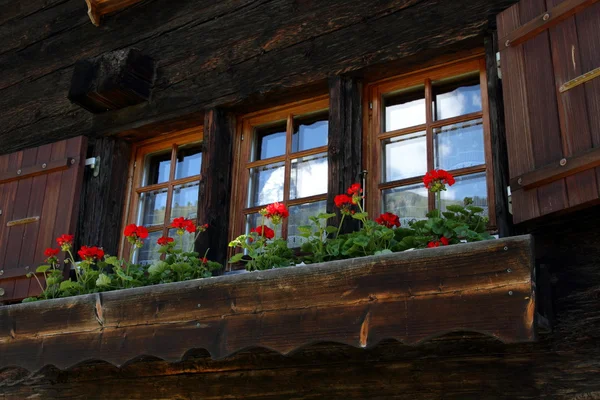 전통적인 스위스 농부 집 창 앞 — 스톡 사진