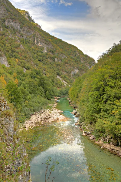 川タラ キャニオン、モンテネグロ — ストック写真