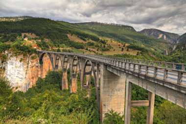 Tara canyon bridge, Montenegro clipart