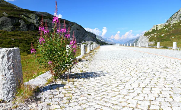 Deserted cobble stone road — Stock Photo, Image