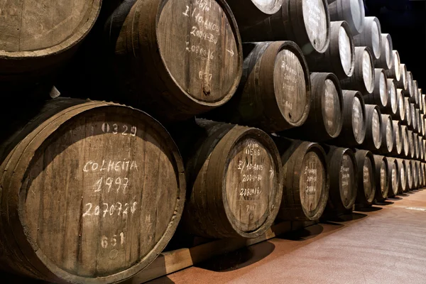 Haven wijn leeftijden in vaten in kelder — Stockfoto