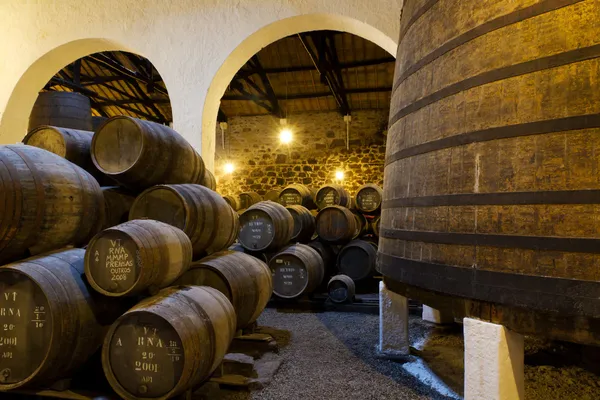 Envelhecimento do vinho do Porto na adega Fotografias De Stock Royalty-Free