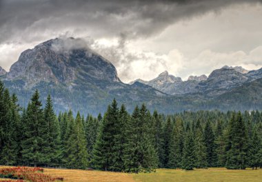 Haunted woods of UNESCO world heritage Park Durmitor, Durmitor clipart