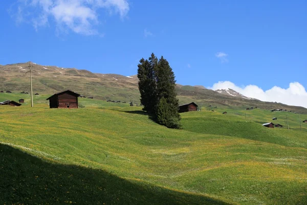 Alpine helling geclusterd met kleine houten hutten — Stockfoto