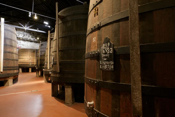 Aging Port wine in cellar — Stock Photo, Image