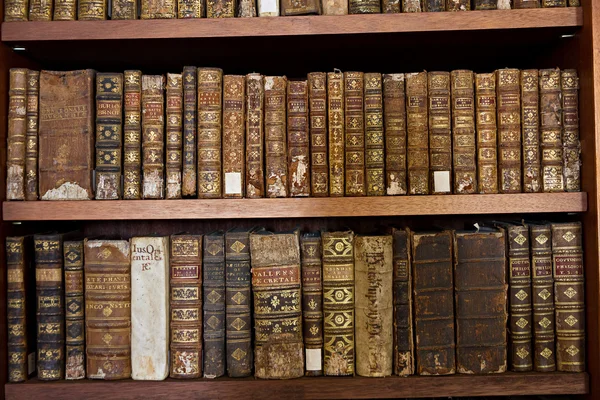Seltene historische Bücher — Stockfoto