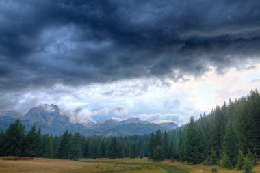 Haunted woods of UNESCO world heritage Park Durmitor, Durmitor clipart