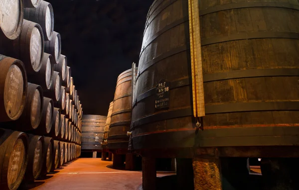 Starzenie się portu wina w piwnicy — Zdjęcie stockowe