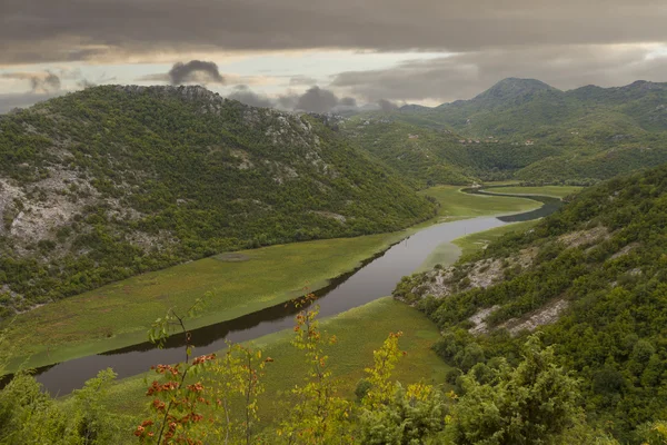 Skadarské jezero v Černé hoře — Stock fotografie