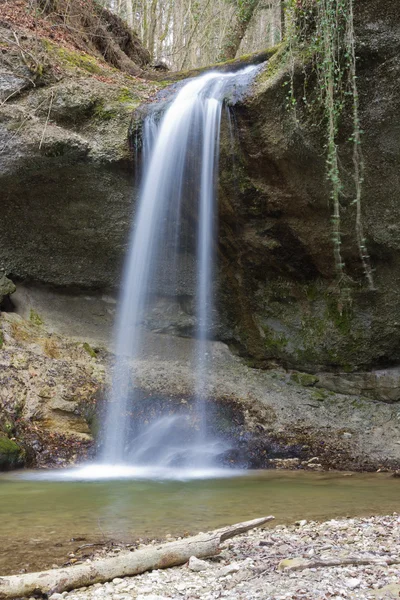 Las mały wodospad — Zdjęcie stockowe